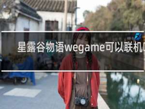 星露谷物语wegame可以联机吗