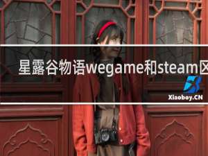 星露谷物语wegame和steam区别