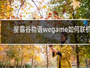 星露谷物语wegame如何联机