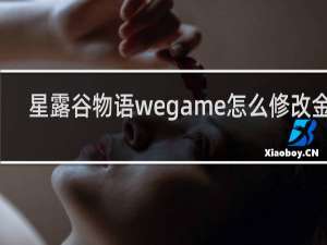 星露谷物语wegame怎么修改金币