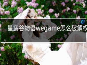 星露谷物语wegame怎么破解权限