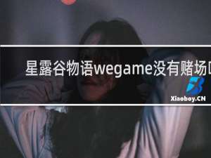 星露谷物语wegame没有赌场吗
