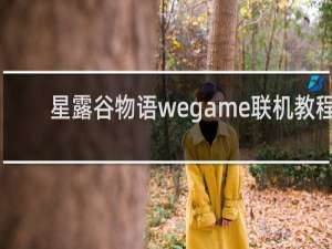星露谷物语wegame联机教程