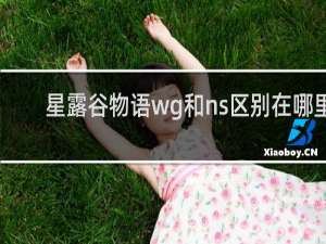 星露谷物语wg和ns区别在哪里