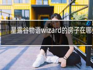 星露谷物语wizard的房子在哪里