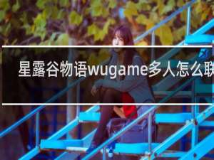 星露谷物语wugame多人怎么联机