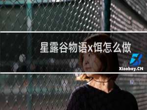 星露谷物语x饵怎么做