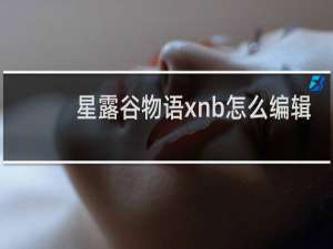星露谷物语xnb怎么编辑