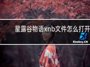 星露谷物语xnb文件怎么打开