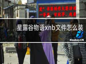 星露谷物语xnb文件怎么装