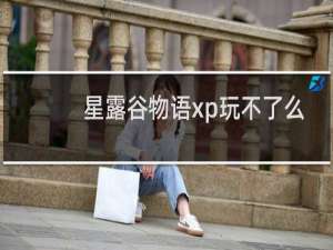星露谷物语xp玩不了么