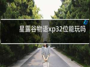 星露谷物语xp32位能玩吗