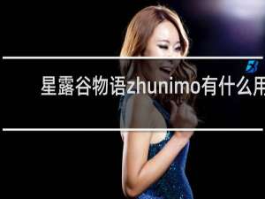 星露谷物语zhunimo有什么用