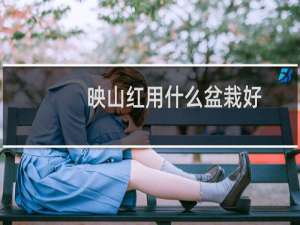映山红用什么盆栽好