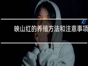 映山红的养殖方法和注意事项