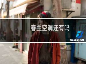 春兰空调还有吗