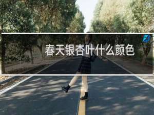 春天银杏叶什么颜色