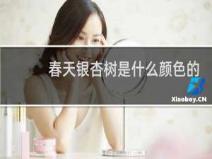 春天银杏树是什么颜色的