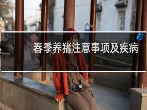 春季养猪注意事项及疾病防控