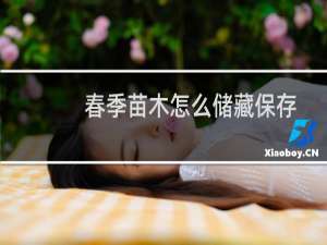 春季苗木怎么储藏保存