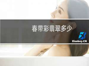 春带彩翡翠多少
