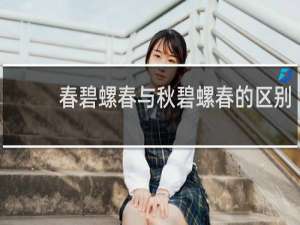 春碧螺春与秋碧螺春的区别