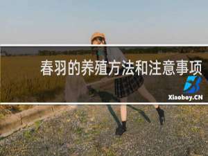 春羽的养殖方法和注意事项