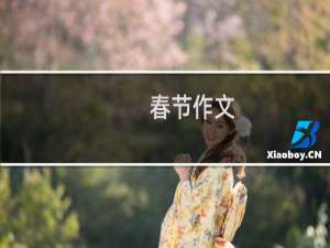 春节作文:看春节联欢晚会