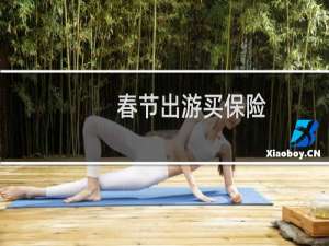 春节出游买保险