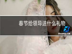 春节给领导送什么礼物