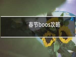 春节boos攻略