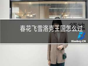 春花飞雪洛克王国怎么过