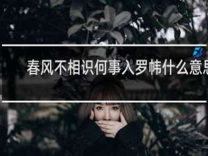 春风不相识何事入罗帏什么意思