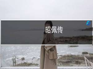 昭佩传(关于昭佩传的简介)