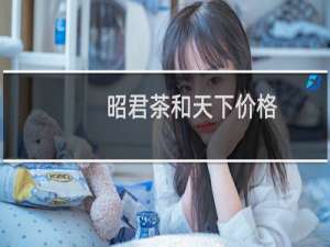 昭君茶和天下价格