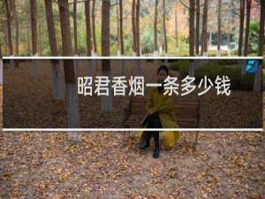 昭君香烟一条多少钱