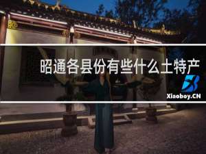 昭通各县份有些什么土特产
