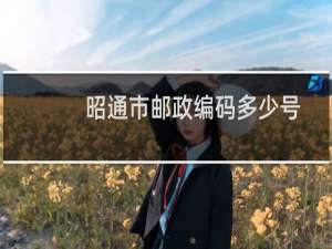 昭通市邮政编码多少号