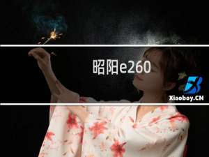 昭阳e260