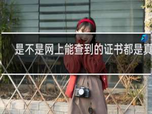 是不是网上能查到的证书都是真的