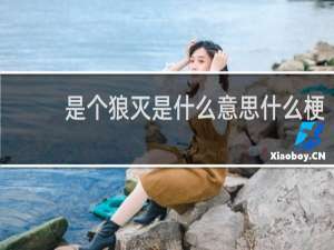 是个狼灭是什么意思什么梗