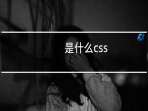 是什么css