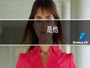 是他？还是他？(关于是他？还是他？的简介)