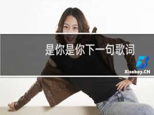 是你是你下一句歌词
