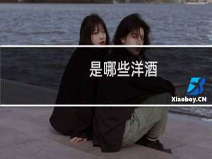 是哪些洋酒