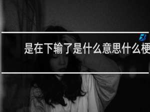 是在下输了是什么意思什么梗