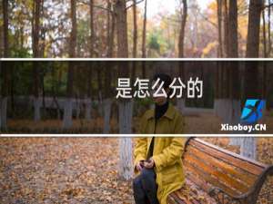 是怎么分的