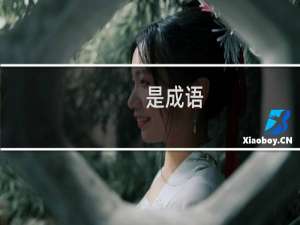 是成语