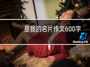 是我的名片作文600字