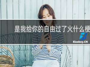 是我给你的自由过了火什么梗